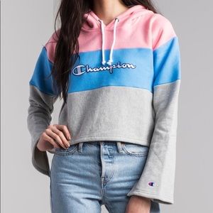 NWOT Champion Reverse Weave Crop Hoodie